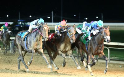 WVBC: “Future of WV-bred racing” on display