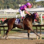 Brilliant Ice slides to dominant Maryland Million Classic win