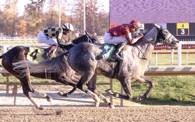 VIDEO: Maryland racing highlights