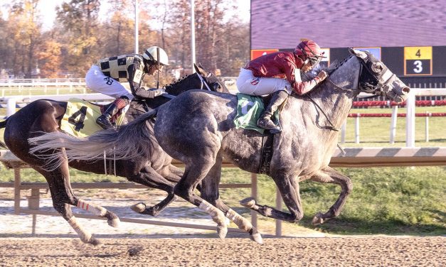 VIDEO: Maryland racing highlights