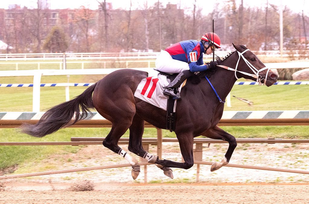 Piassek: Handicapping maiden races