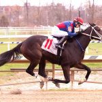 Piassek: Handicapping maiden races