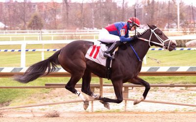 Piassek: Handicapping maiden races