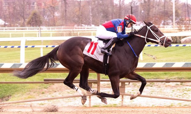 Piassek: Handicapping maiden races