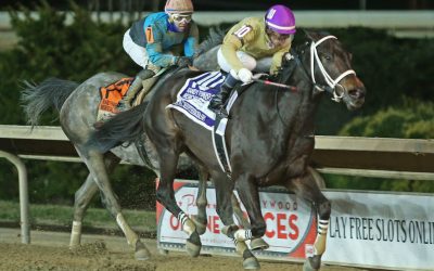 Teachintherelease goes all the way in Funkhouser Memorial