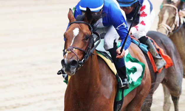 Lucky Jeremy seeks third stakes win in City of Laurel