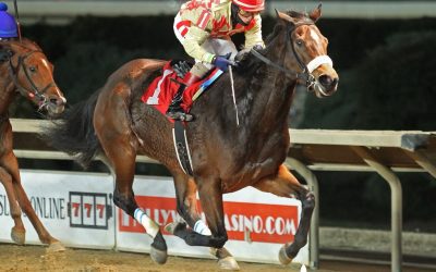 “Miracle” horse All Caps wins first in two years