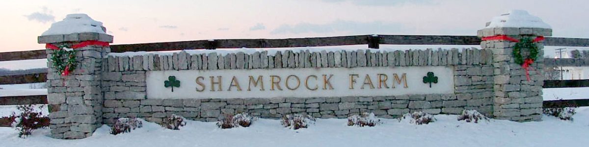 Shamrock Farm chosen as new Maryland training center * The Racing Biz